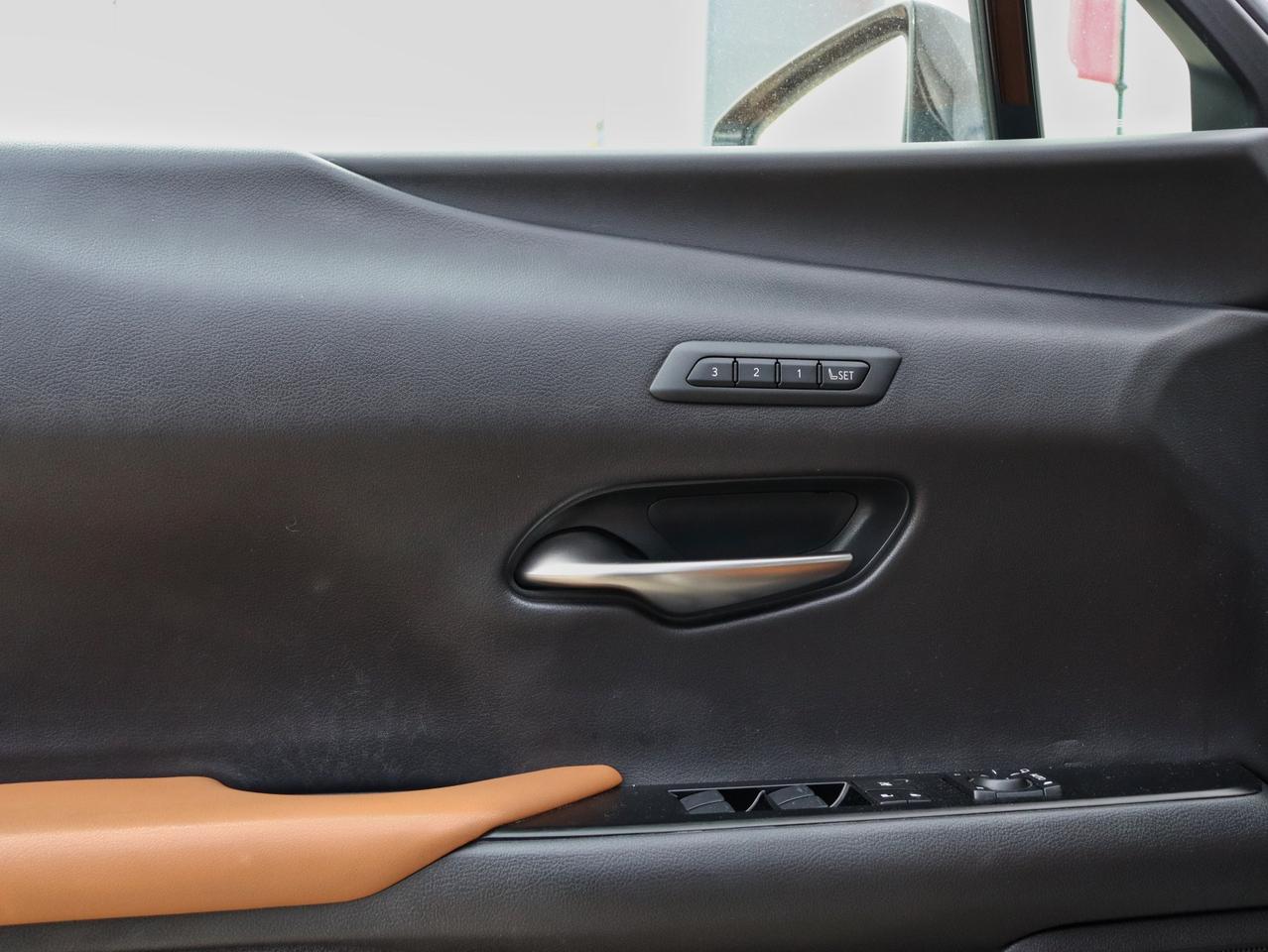 2020 Lexus UX 250H UX 250H Photo