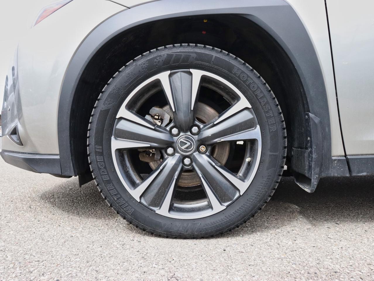 2020 Lexus UX 250H UX 250H Photo