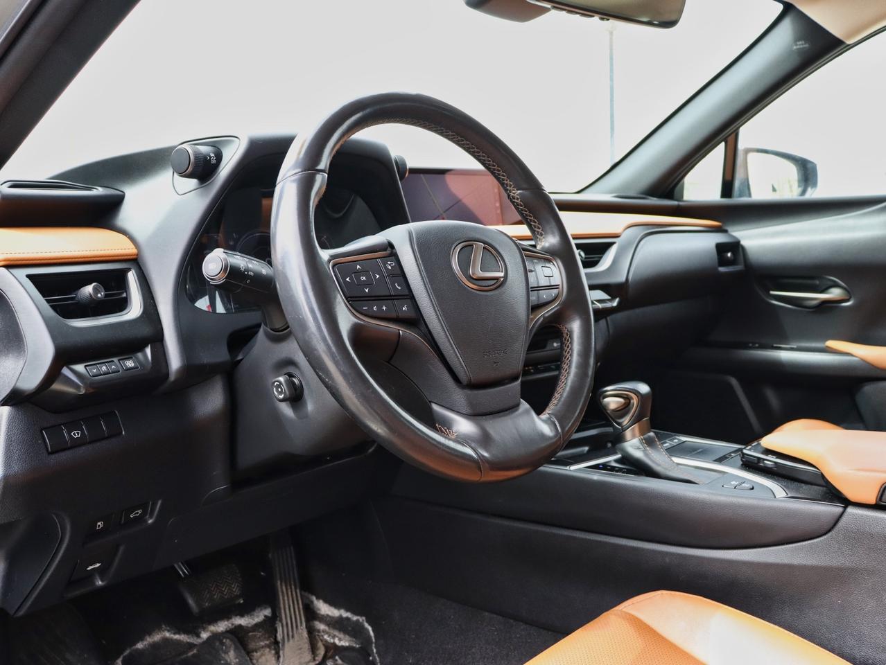 2020 Lexus UX 250H UX 250H Photo