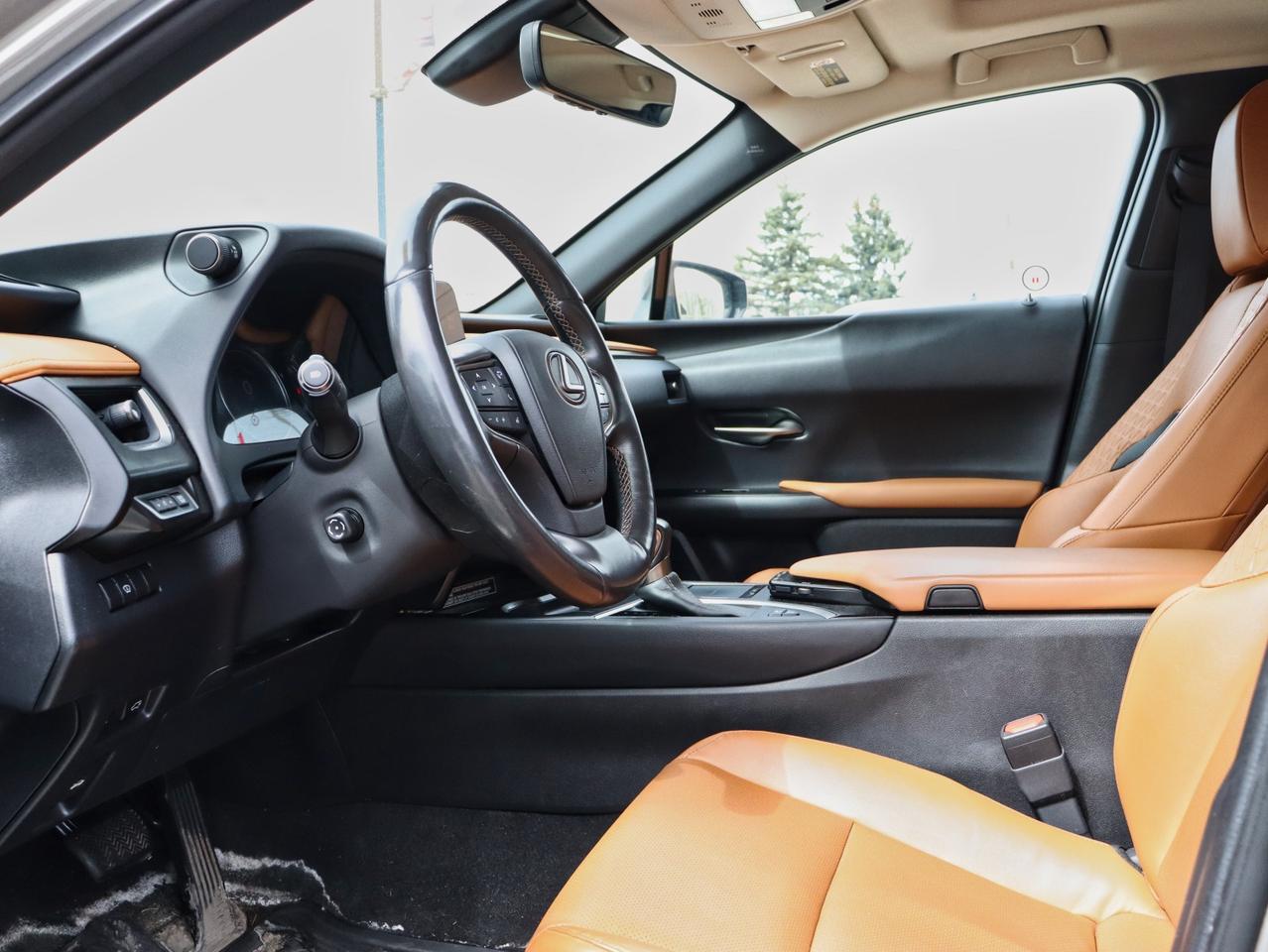 2020 Lexus UX 250H UX 250H Photo