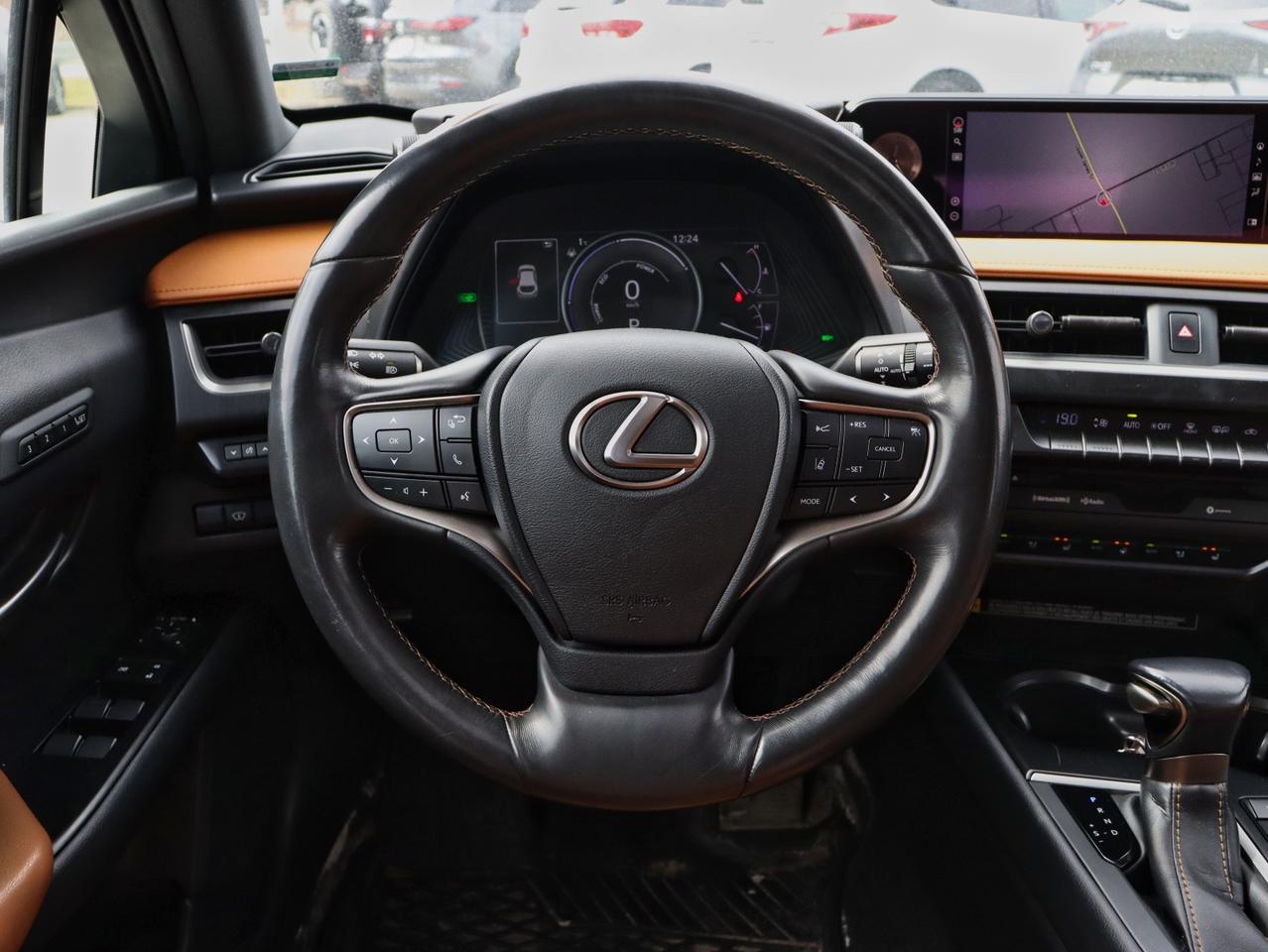 2020 Lexus UX 250H UX 250H Photo