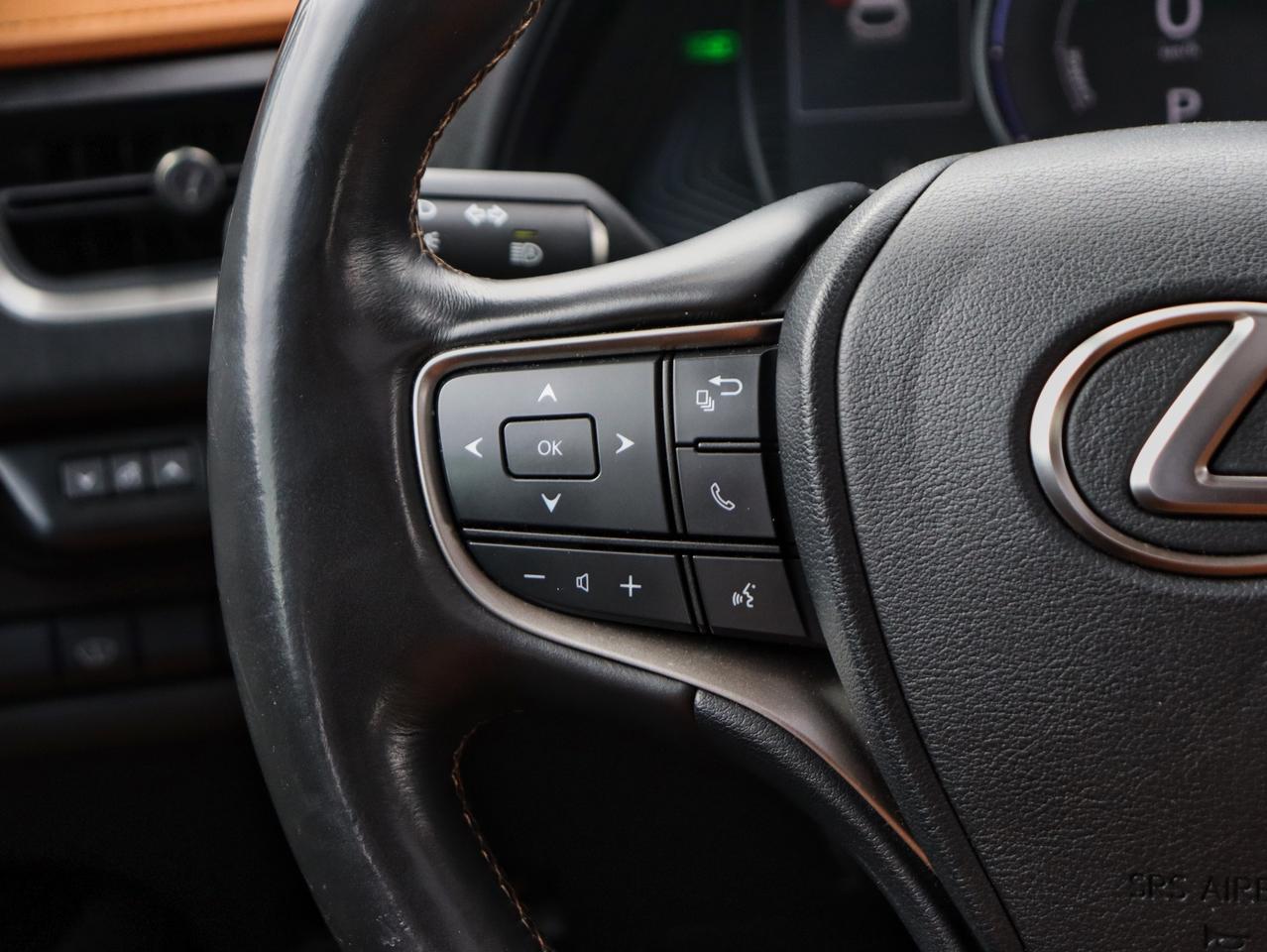 2020 Lexus UX 250H UX 250H Photo