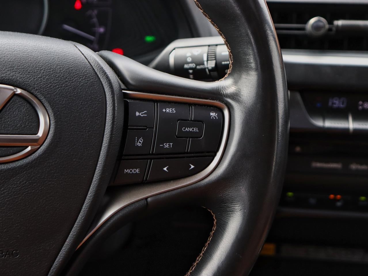 2020 Lexus UX 250H UX 250H Photo