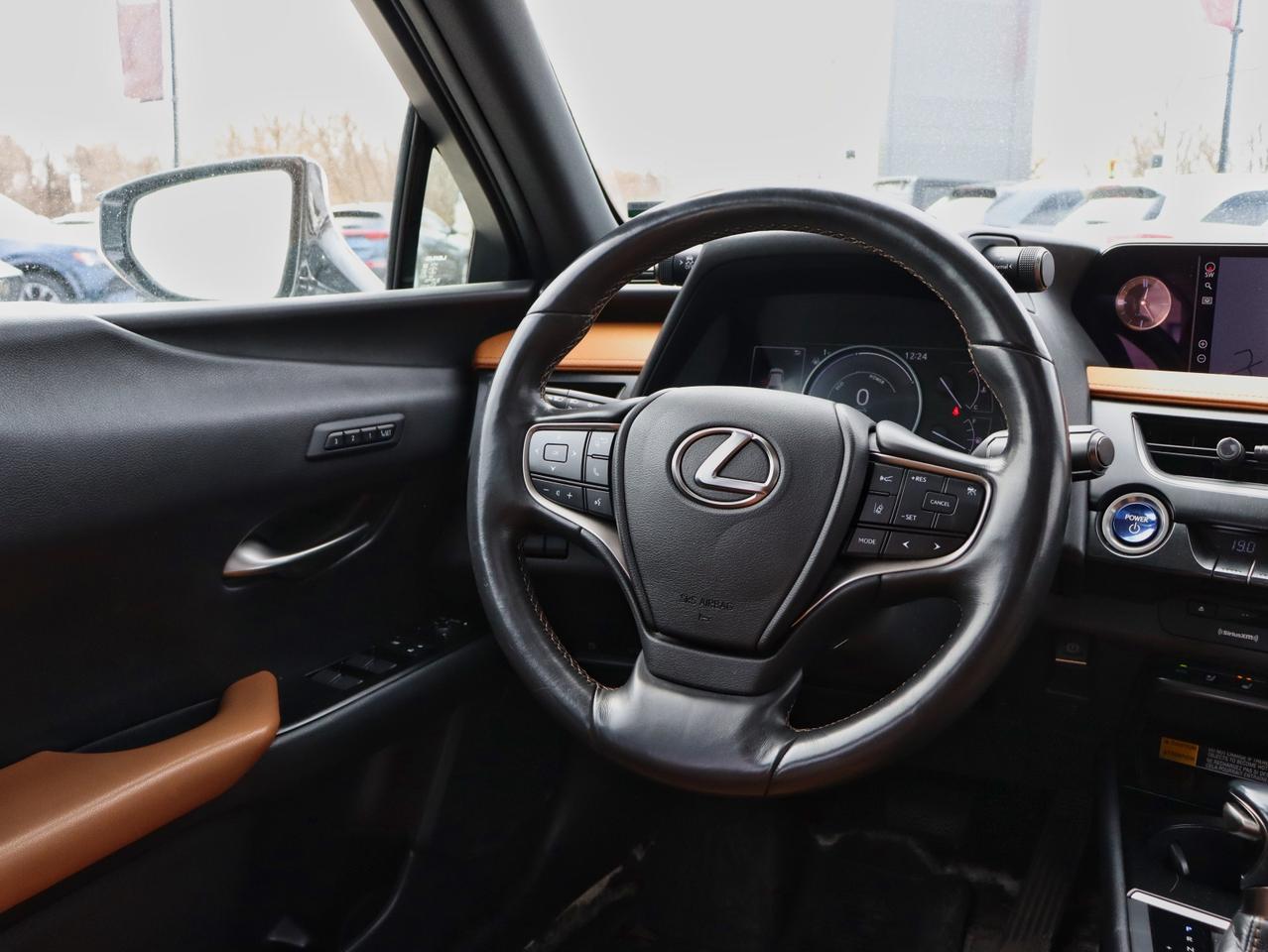 2020 Lexus UX 250H UX 250H Photo