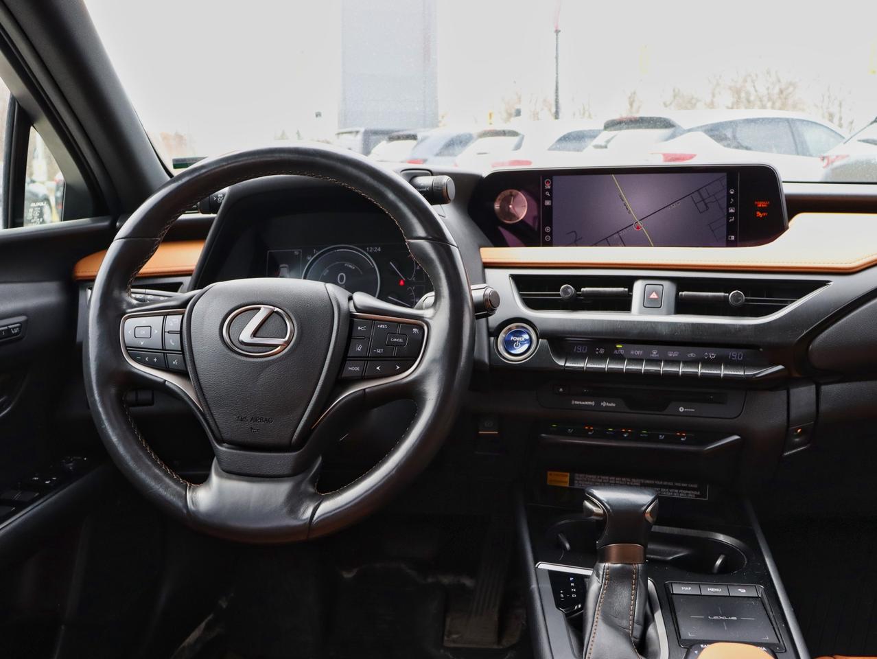 2020 Lexus UX 250H UX 250H Photo