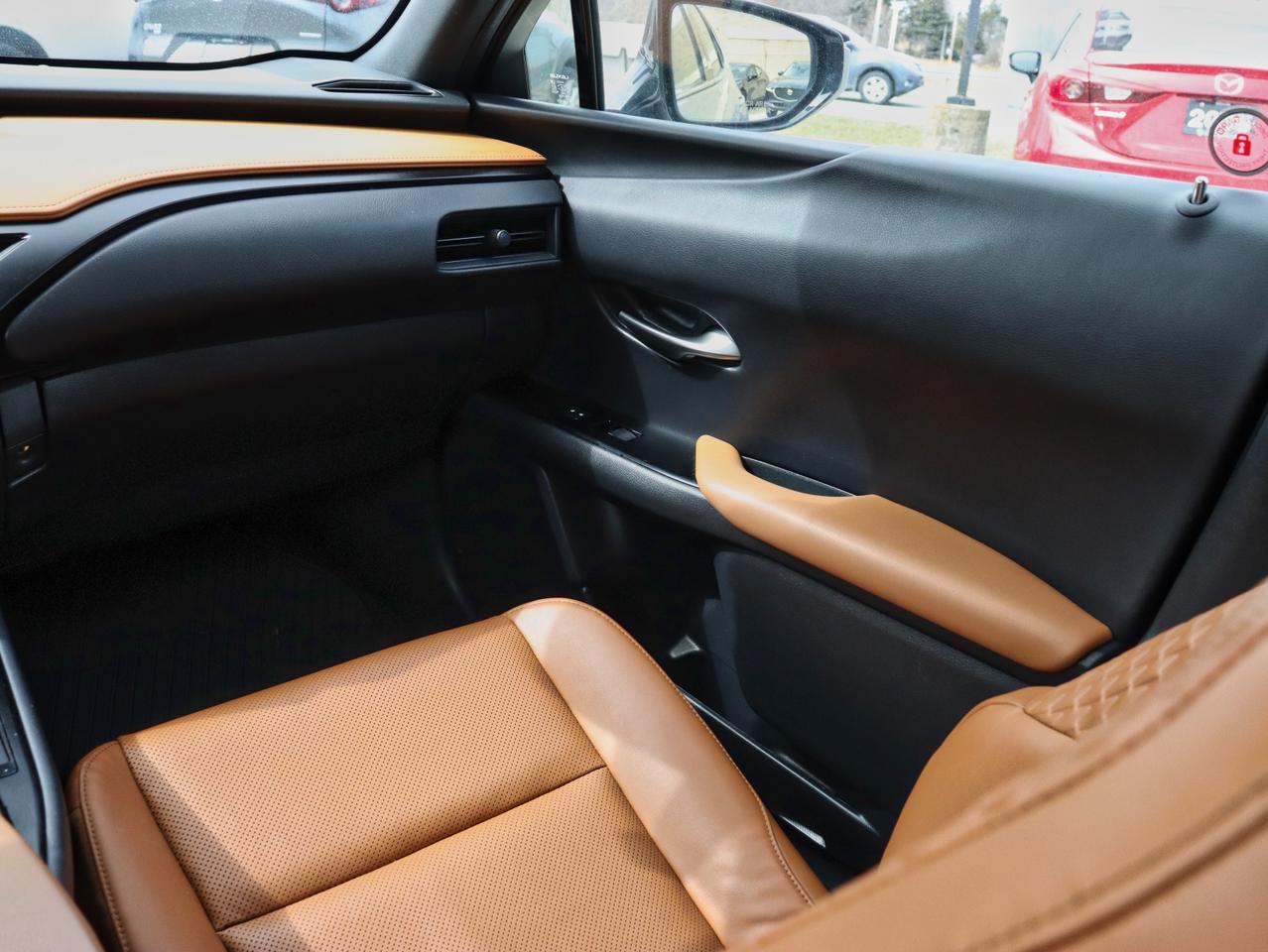 2020 Lexus UX 250H UX 250H Photo