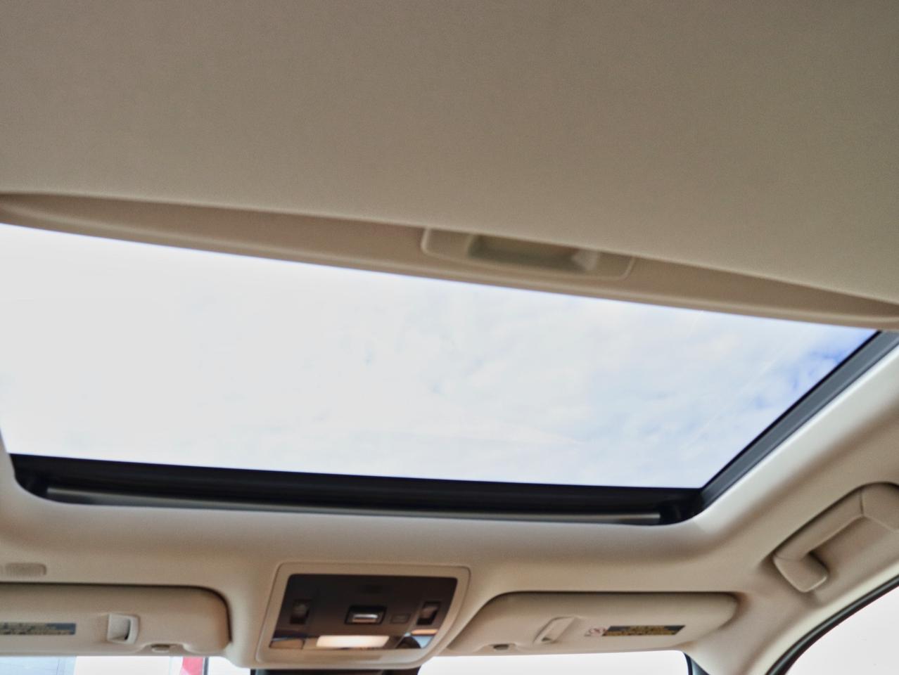 2020 Lexus UX 250H UX 250H Photo