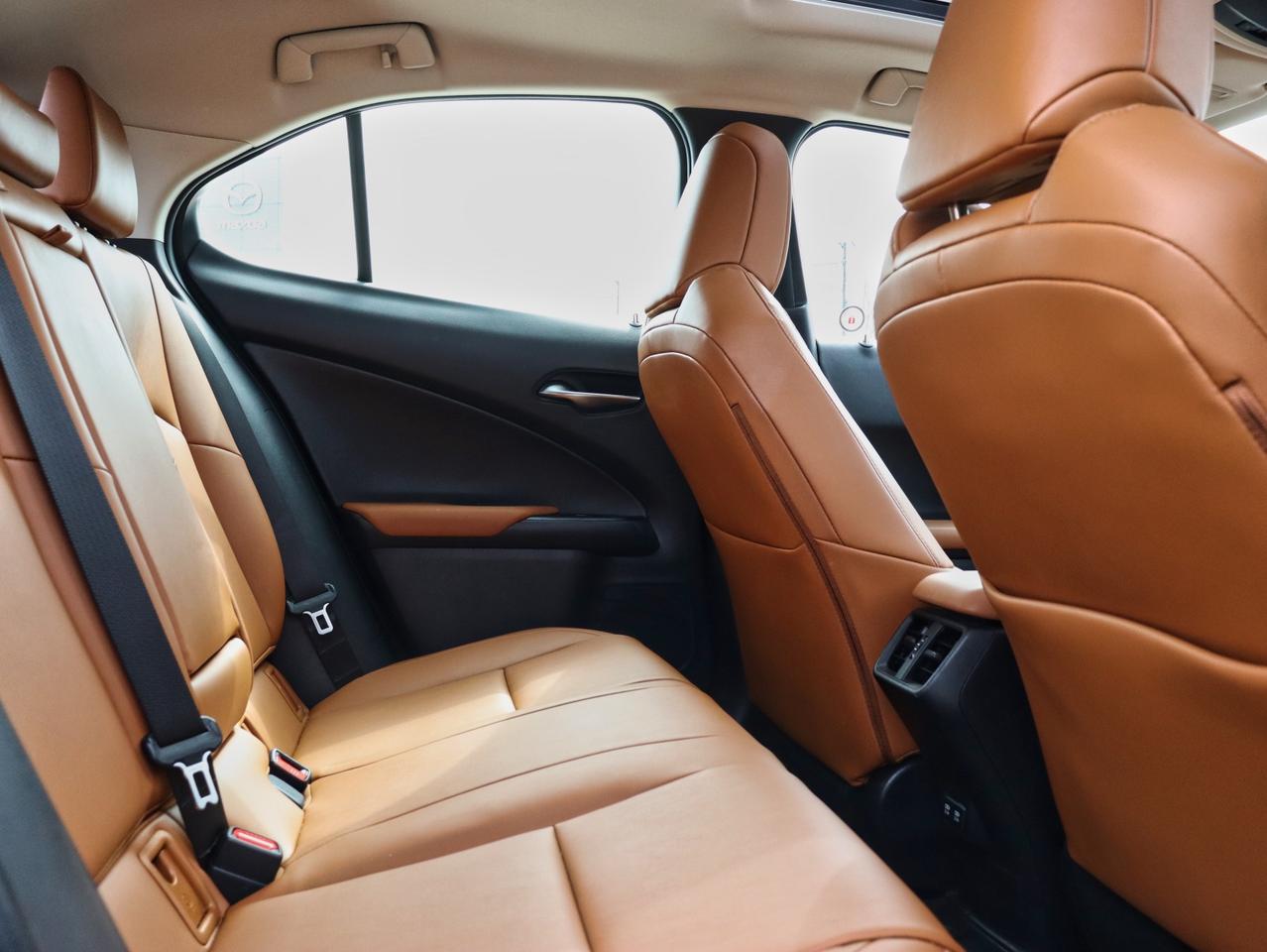 2020 Lexus UX 250H UX 250H Photo