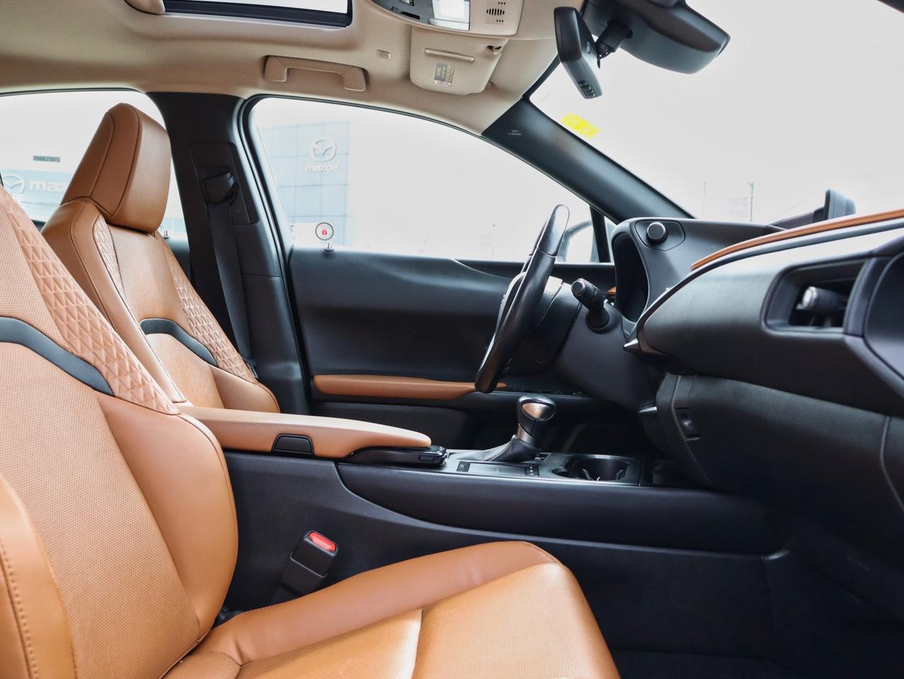 2020 Lexus UX 250H UX 250H Photo