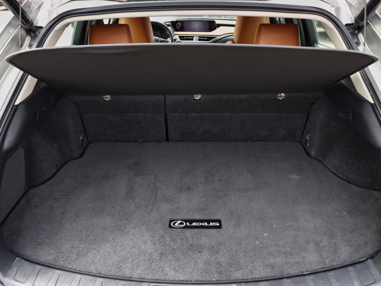 2020 Lexus UX 250H UX 250H Photo