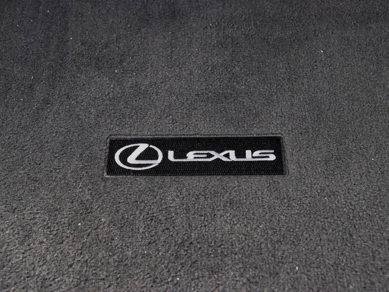 2020 Lexus UX 250H UX 250H Photo