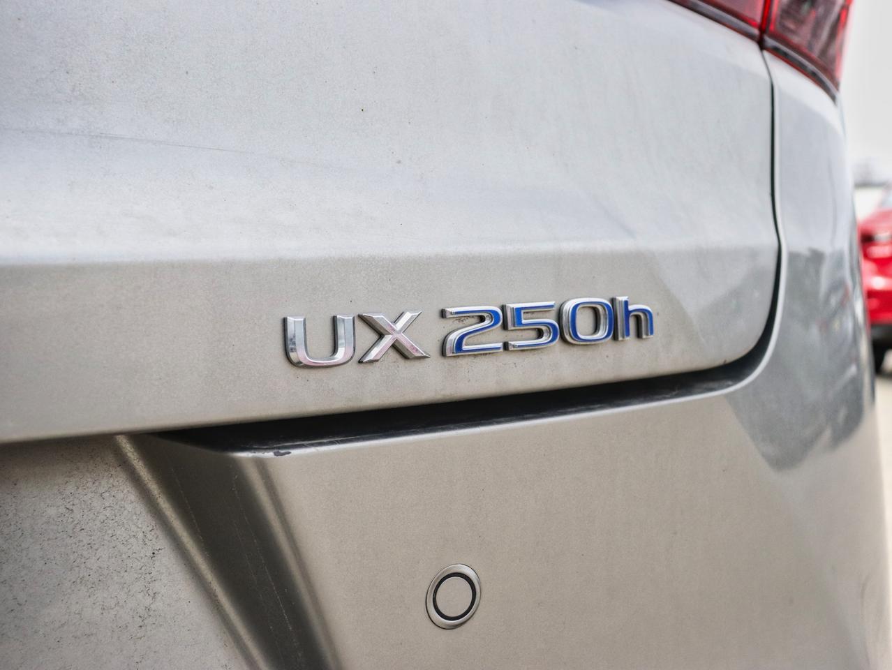 2020 Lexus UX 250H UX 250H Photo