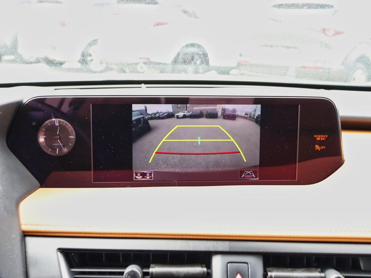 2020 Lexus UX 250H UX 250H Photo