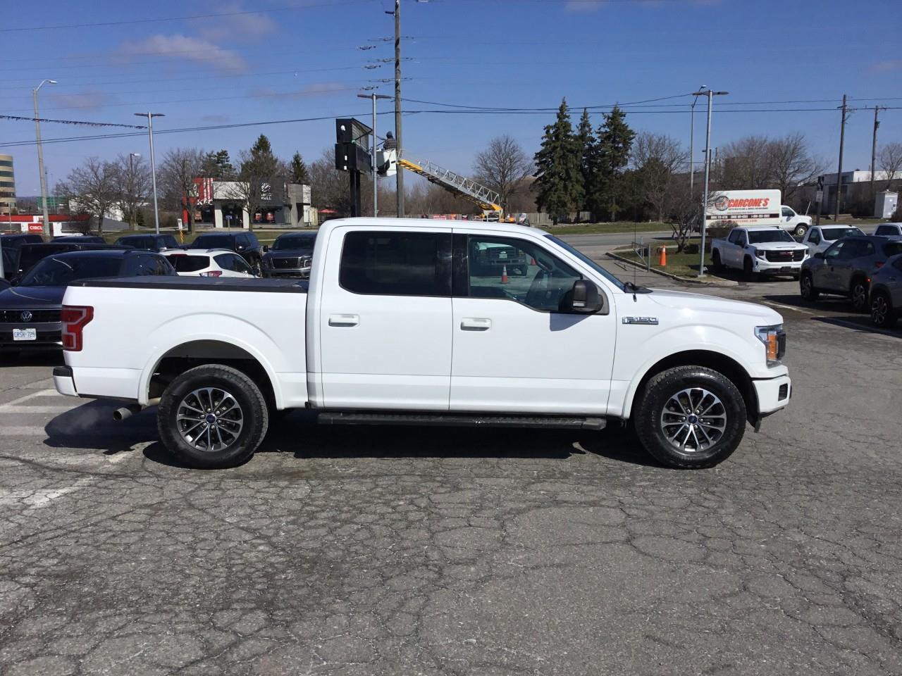2020 Ford F-150  Photo