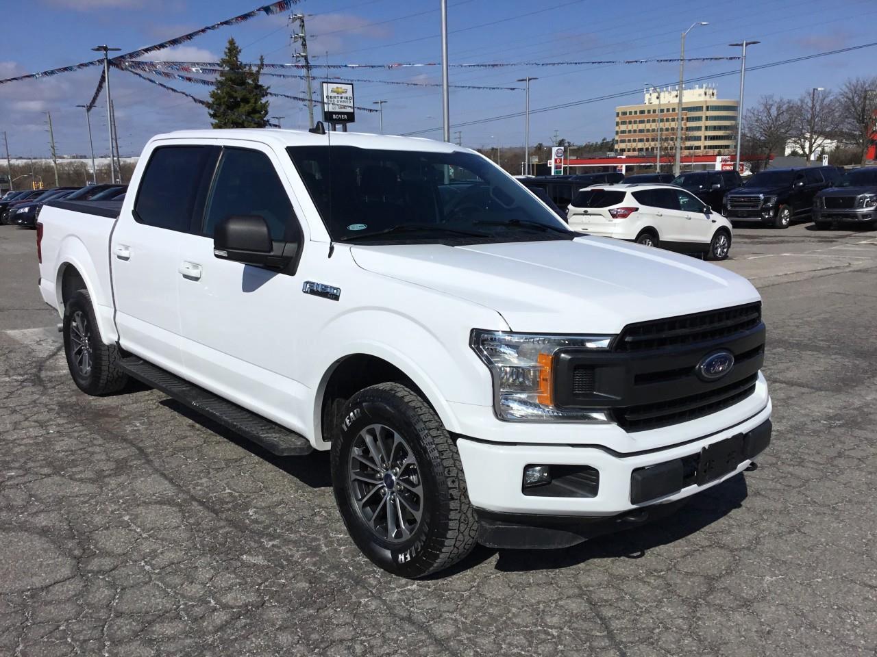 2020 Ford F-150  Photo