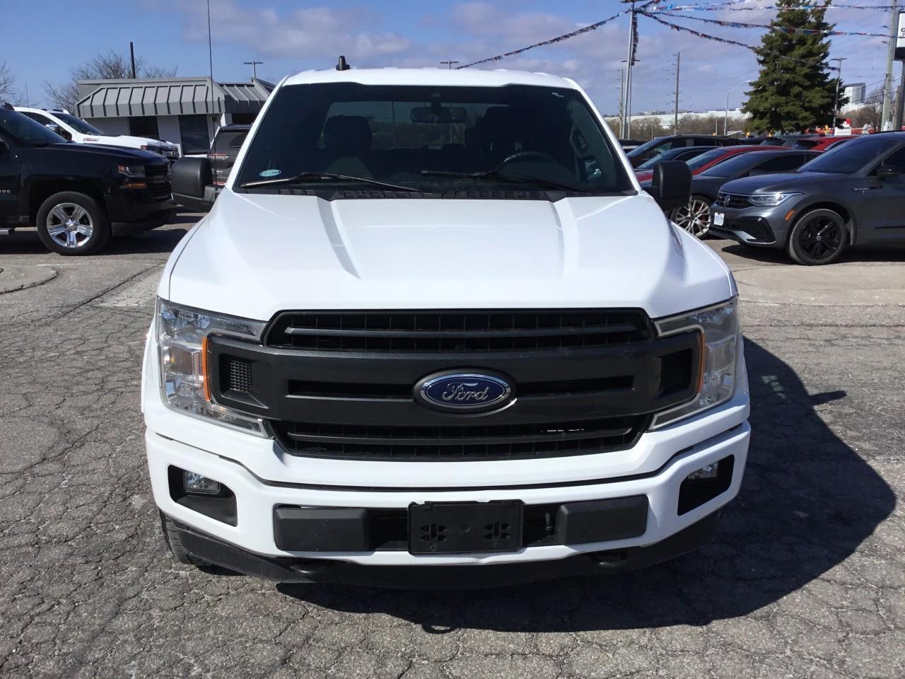 2020 Ford F-150  Photo
