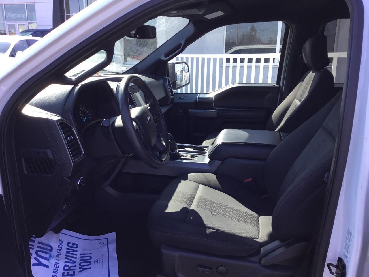 2020 Ford F-150  Photo