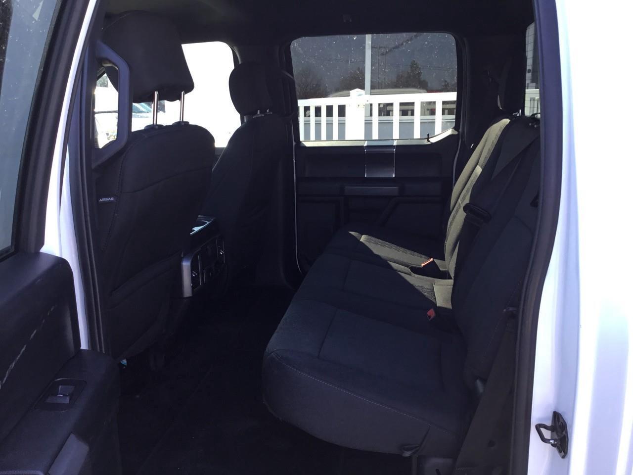 2020 Ford F-150  Photo