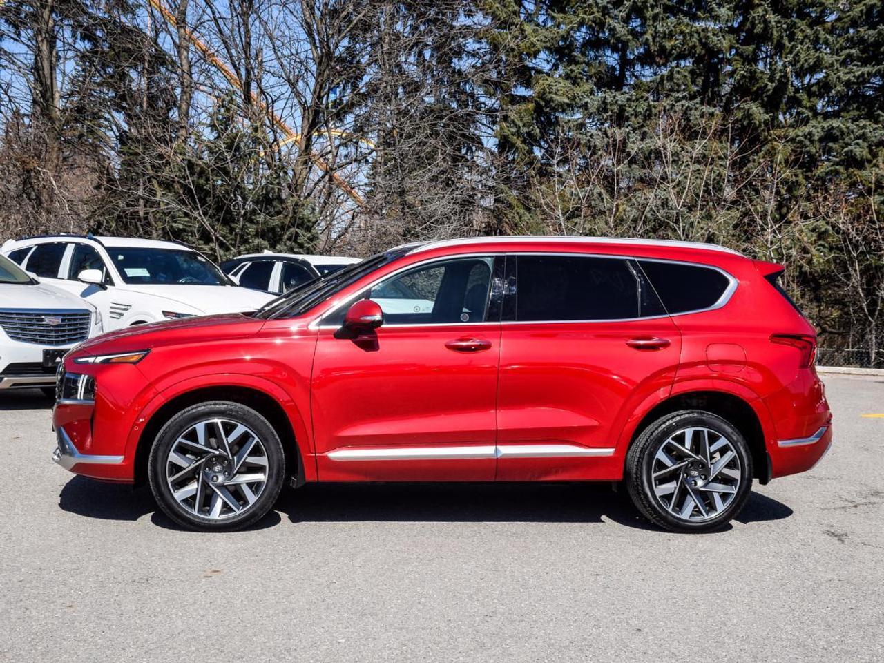 2023 Hyundai Santa Fe Ultimate   1owner, Clean Carfax, Full Service Reco Photo