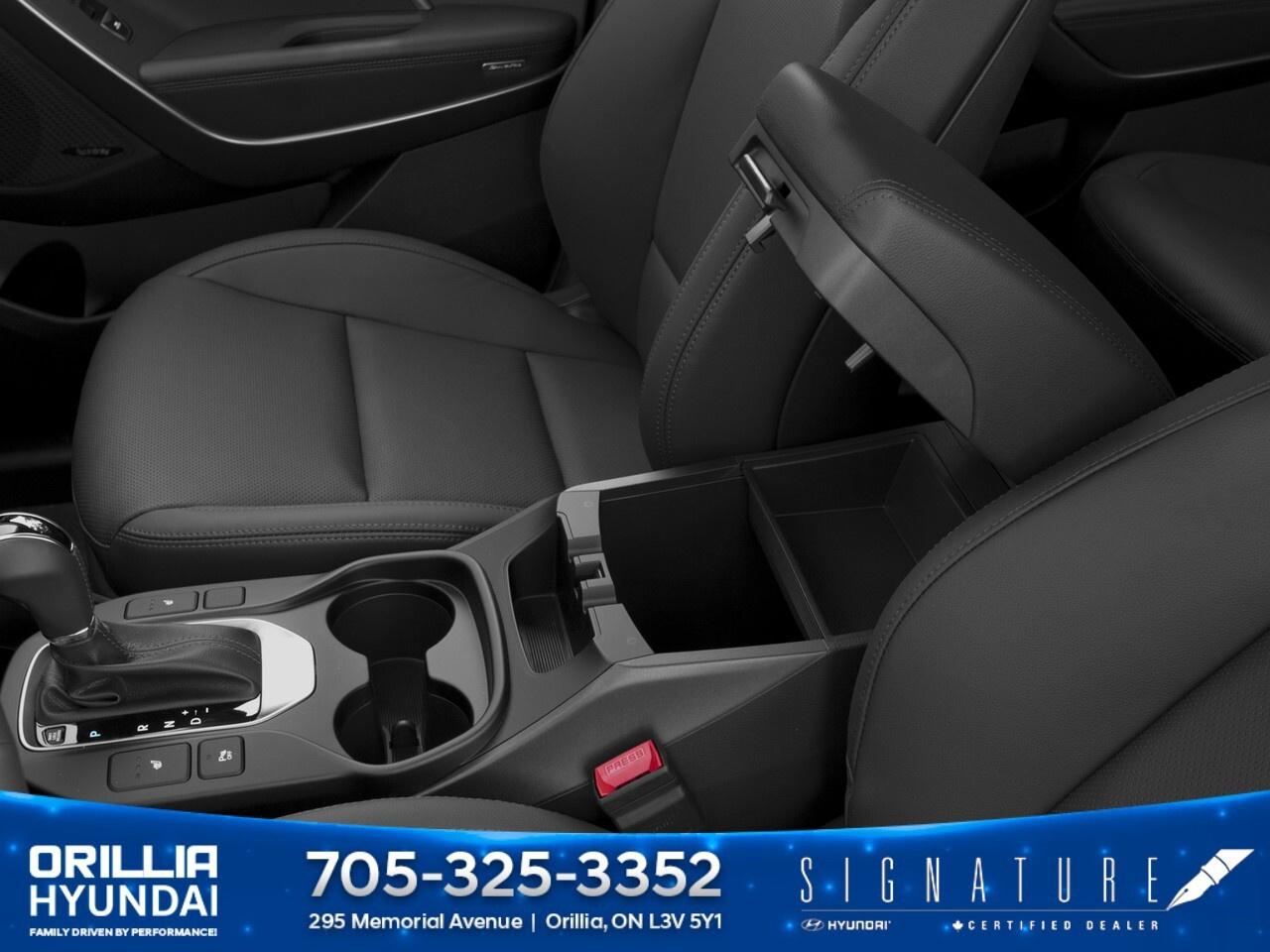 2017 Hyundai Santa Fe XL AWD 4dr Luxury Photo