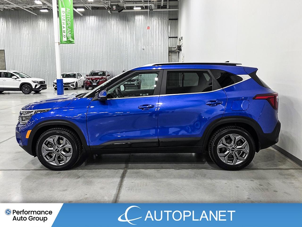 2024 Kia Seltos EX AWD - FINANCE @$82/WK OR LEASE @$98/WK Photo