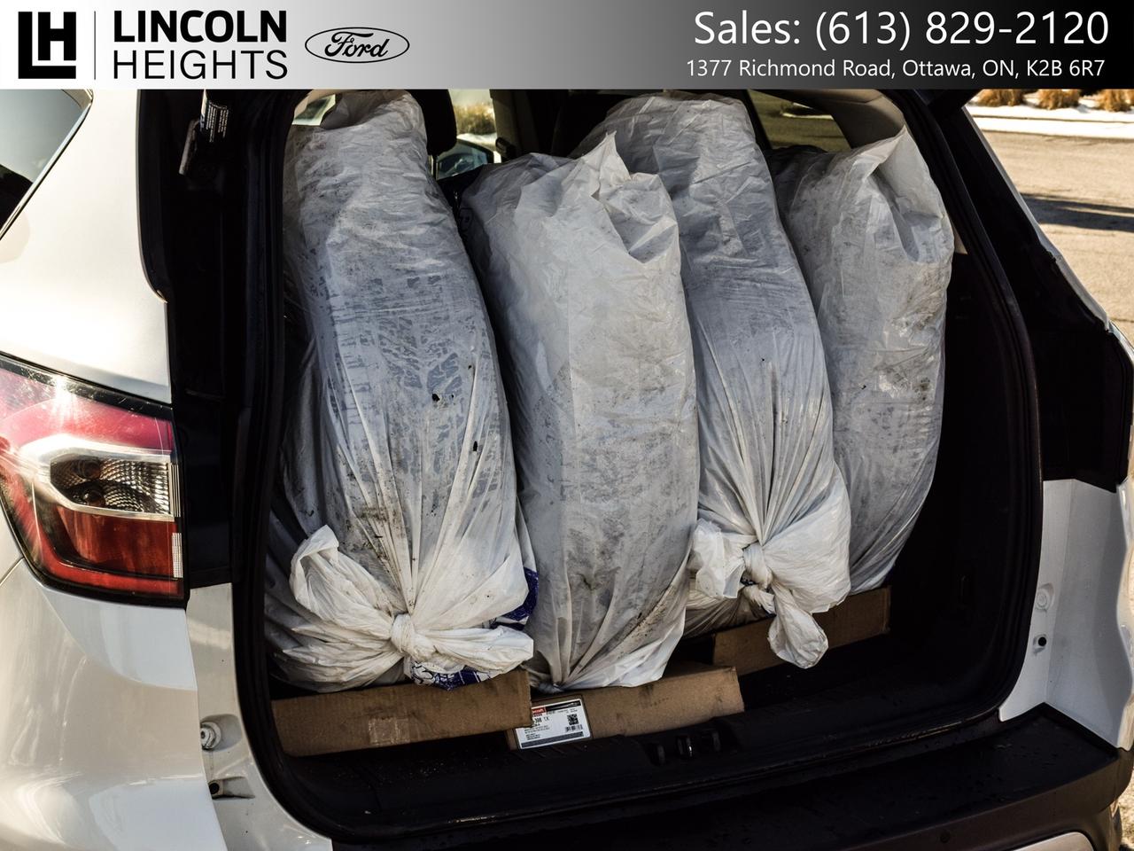 2017 Ford Escape  Photo