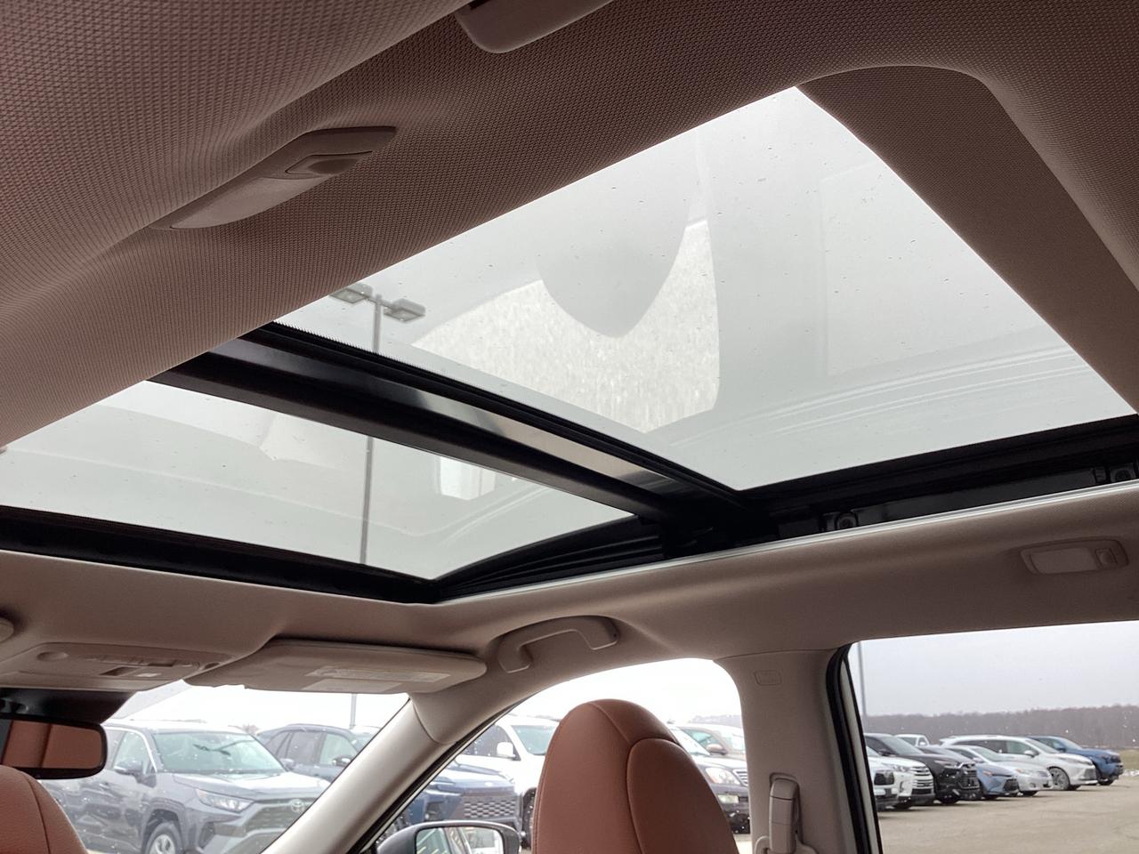 2020 Nissan Rogue SL Platinum AWD Photo