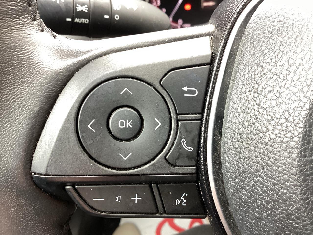 2021 Toyota RAV4 LIMITED AWD Photo