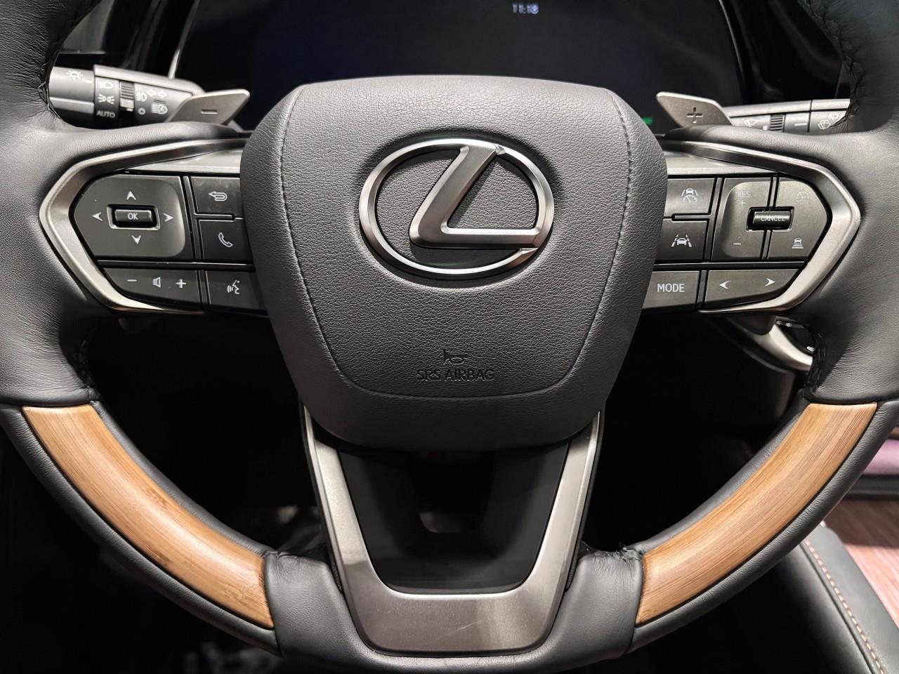 2026 Lexus RX 350 Carfax Clean Photo