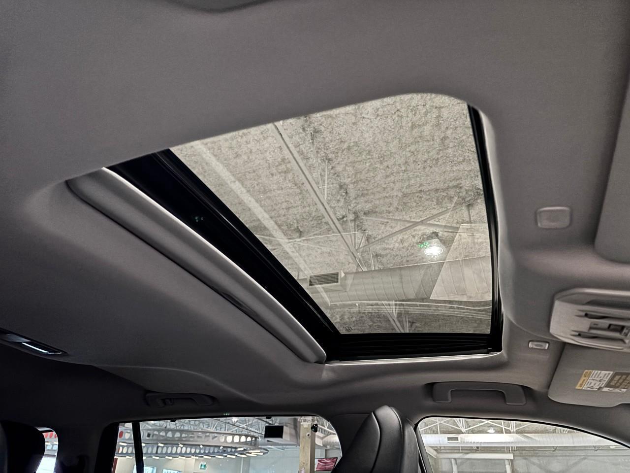 2024 Toyota Highlander Hybrid XLE Photo