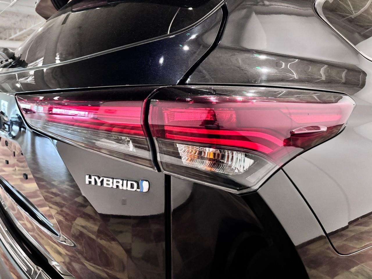 2024 Toyota Highlander Hybrid XLE Photo