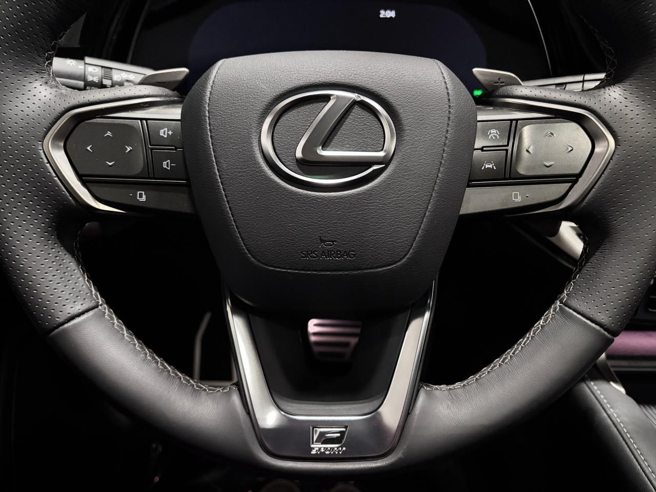 2025 Lexus RX 500H Carfax Clean   One Owner Photo