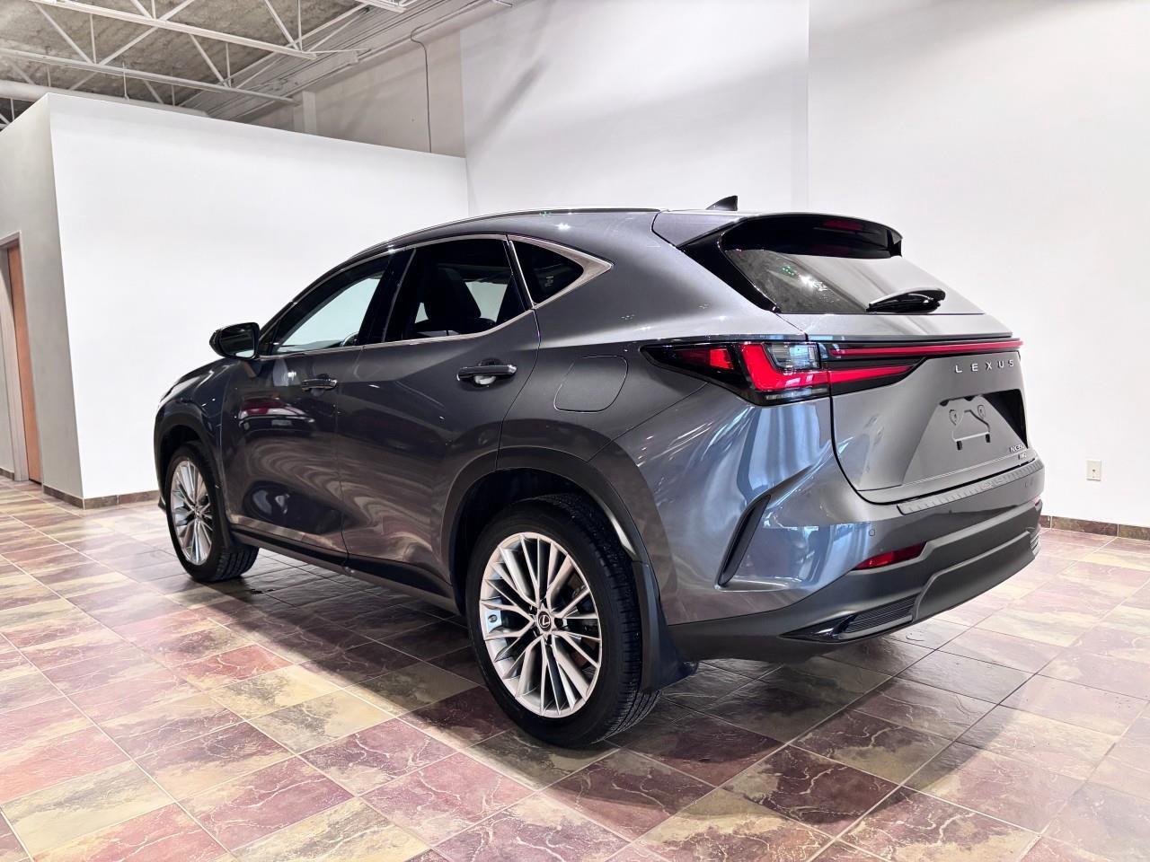 2022 Lexus NX 350 Carfax Clean   One Owner Photo2