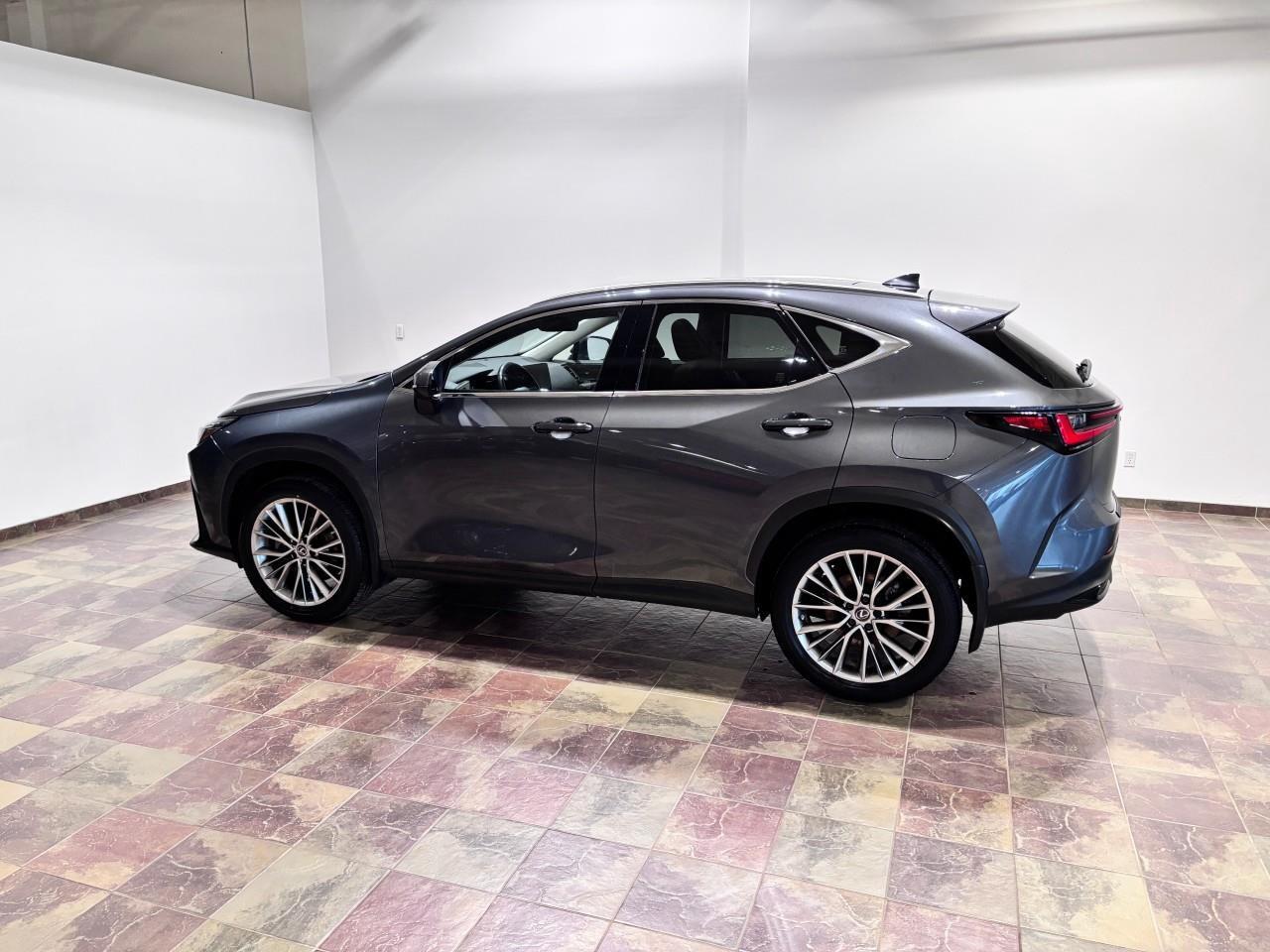 2022 Lexus NX 350 Carfax Clean   One Owner Photo
