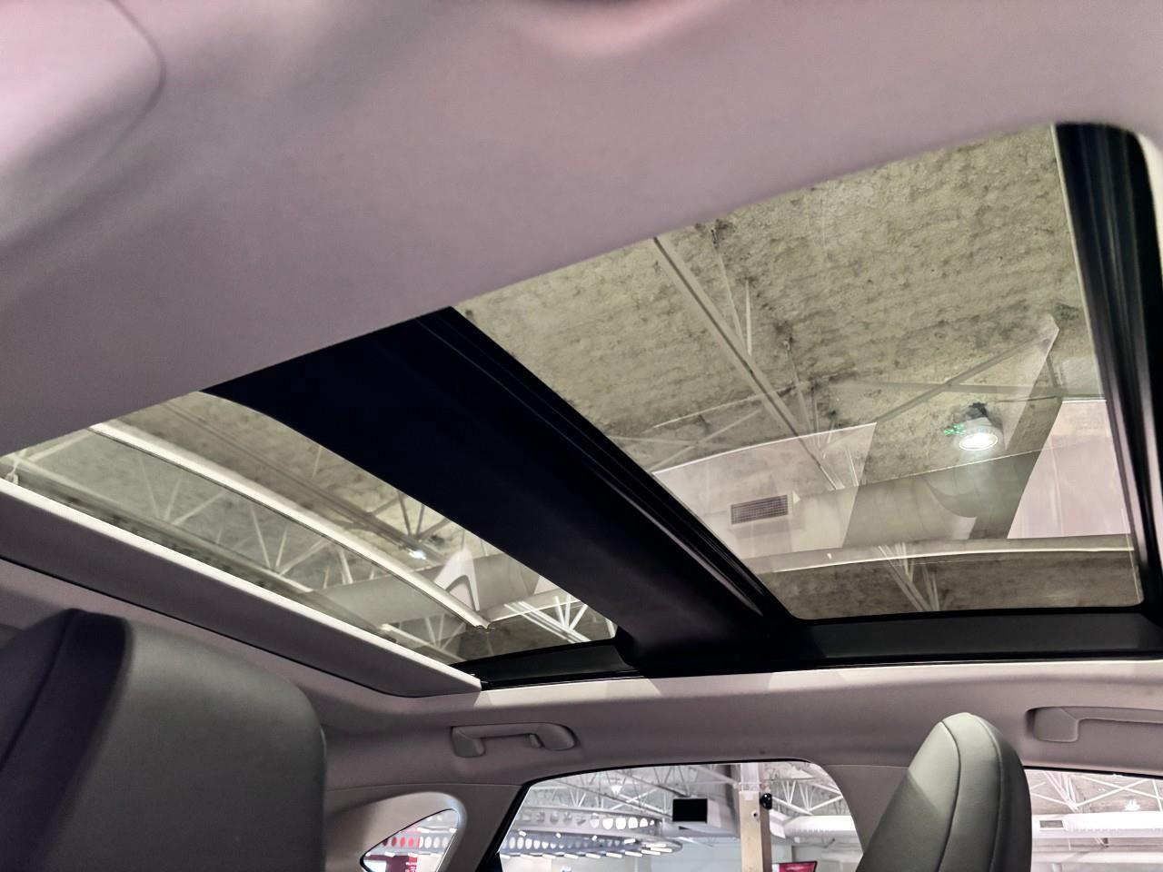 2022 Lexus NX 350 Carfax Clean   One Owner Photo