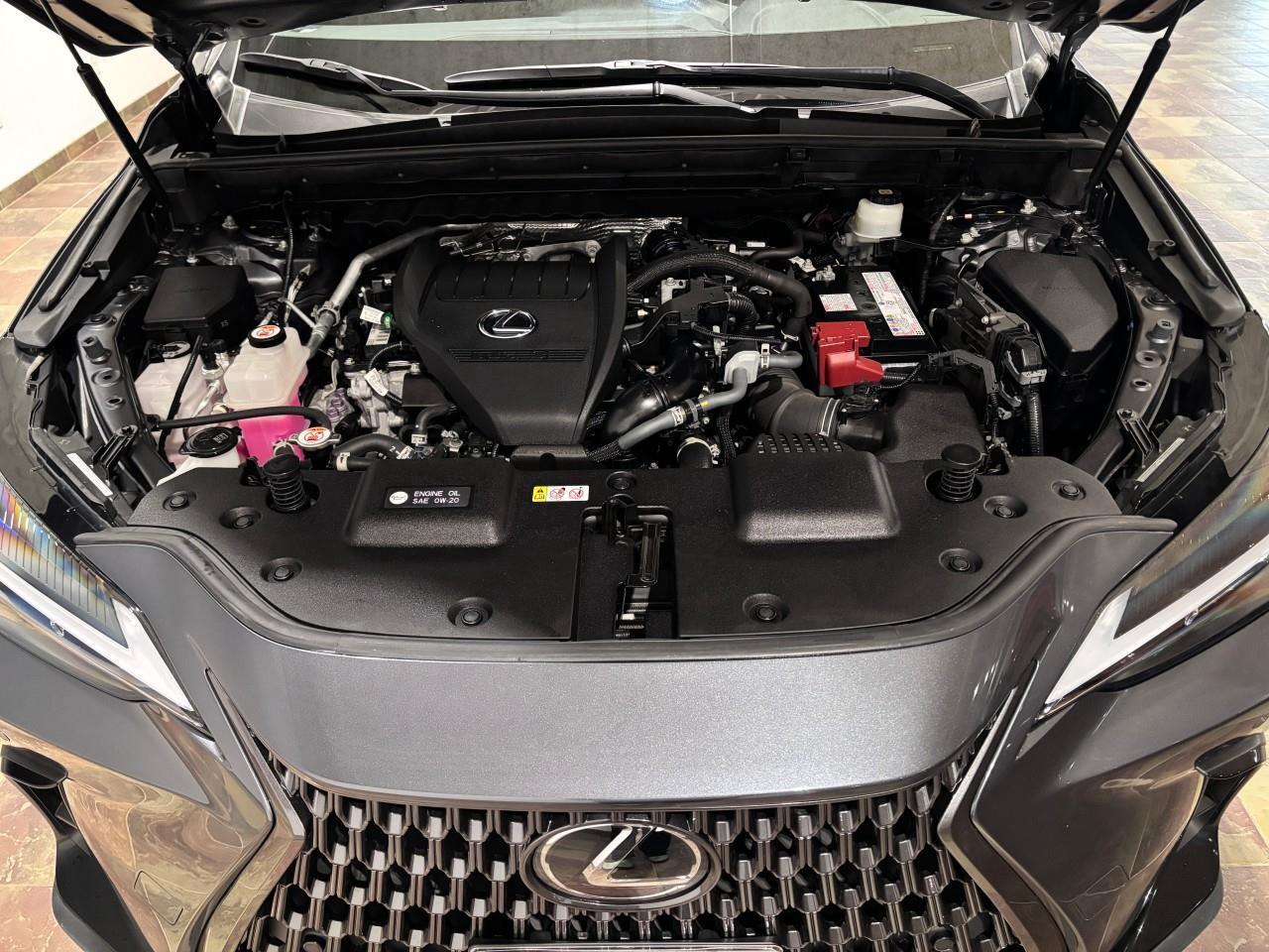 2022 Lexus NX 350 Carfax Clean   One Owner Photo