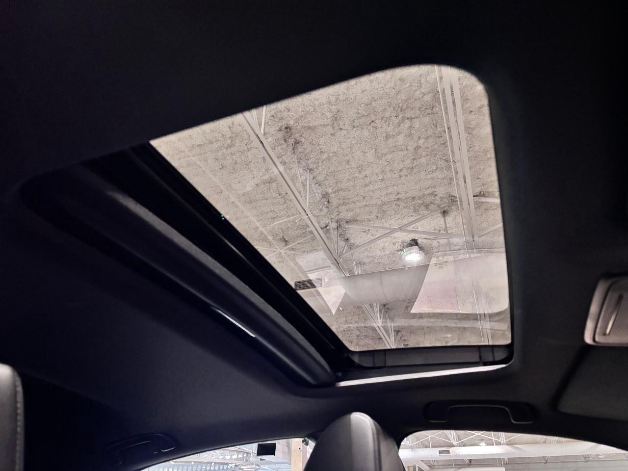 2023 Honda Civic Sport Touring Photo