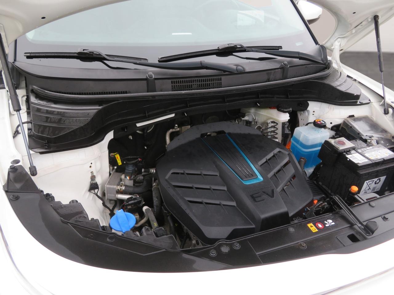 2022 Kia Soul EV EV Limited Auto Photo