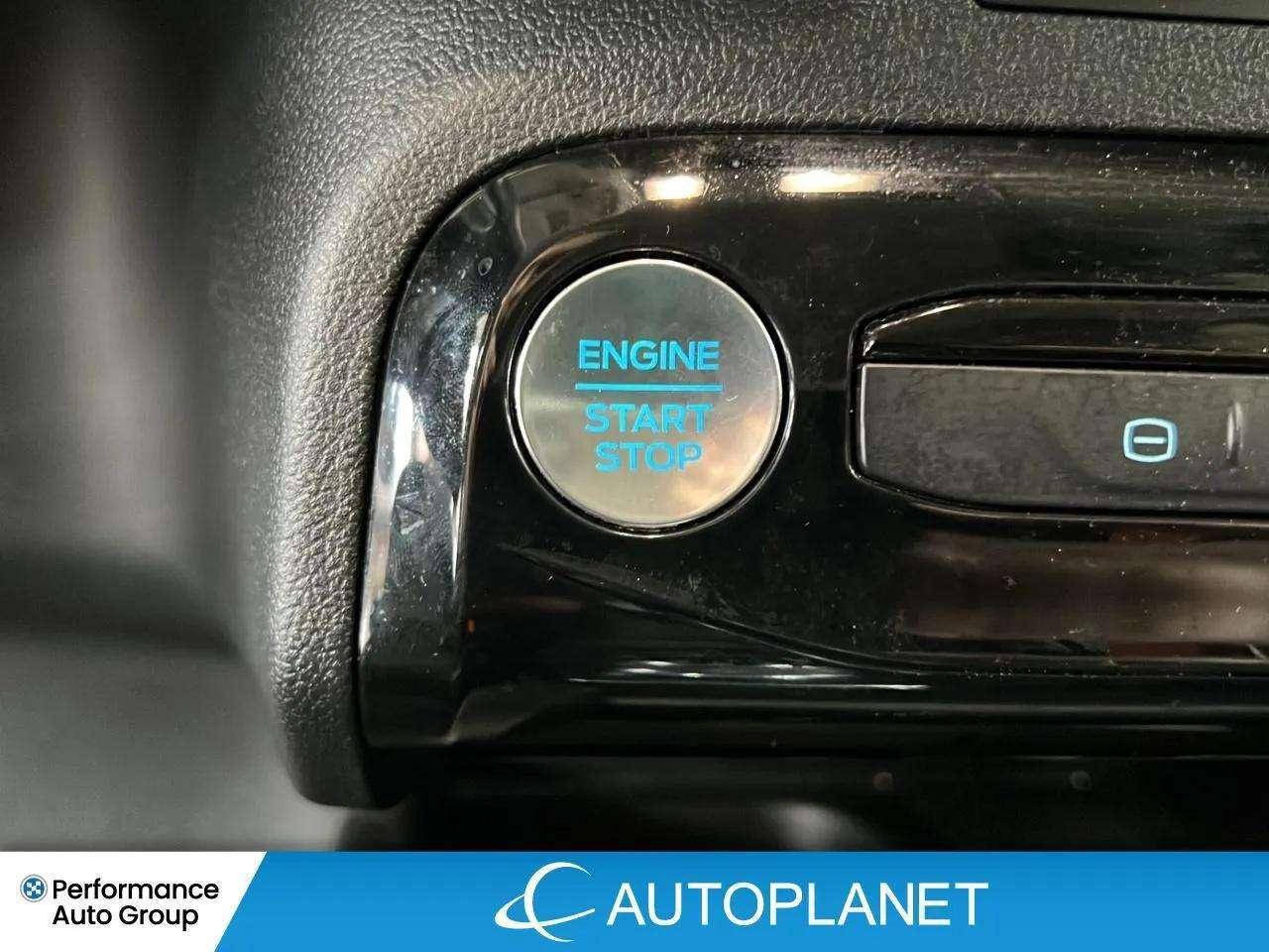 2024 Ford Escape Plug-In Hybrid -FINANCE @$85/WK OR LEASE @$98/WK Photo