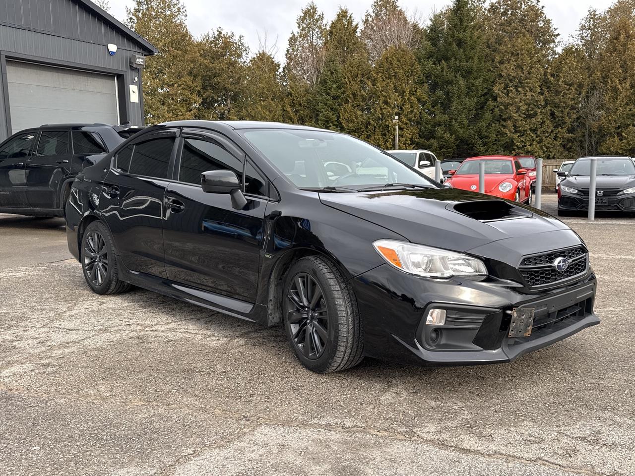 2019 Subaru WRX WRX Photo