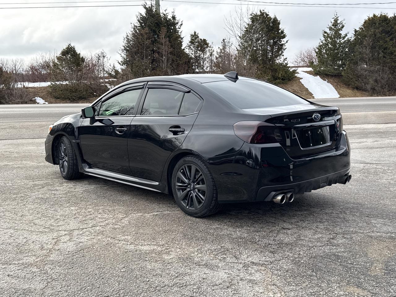 2019 Subaru WRX WRX Photo