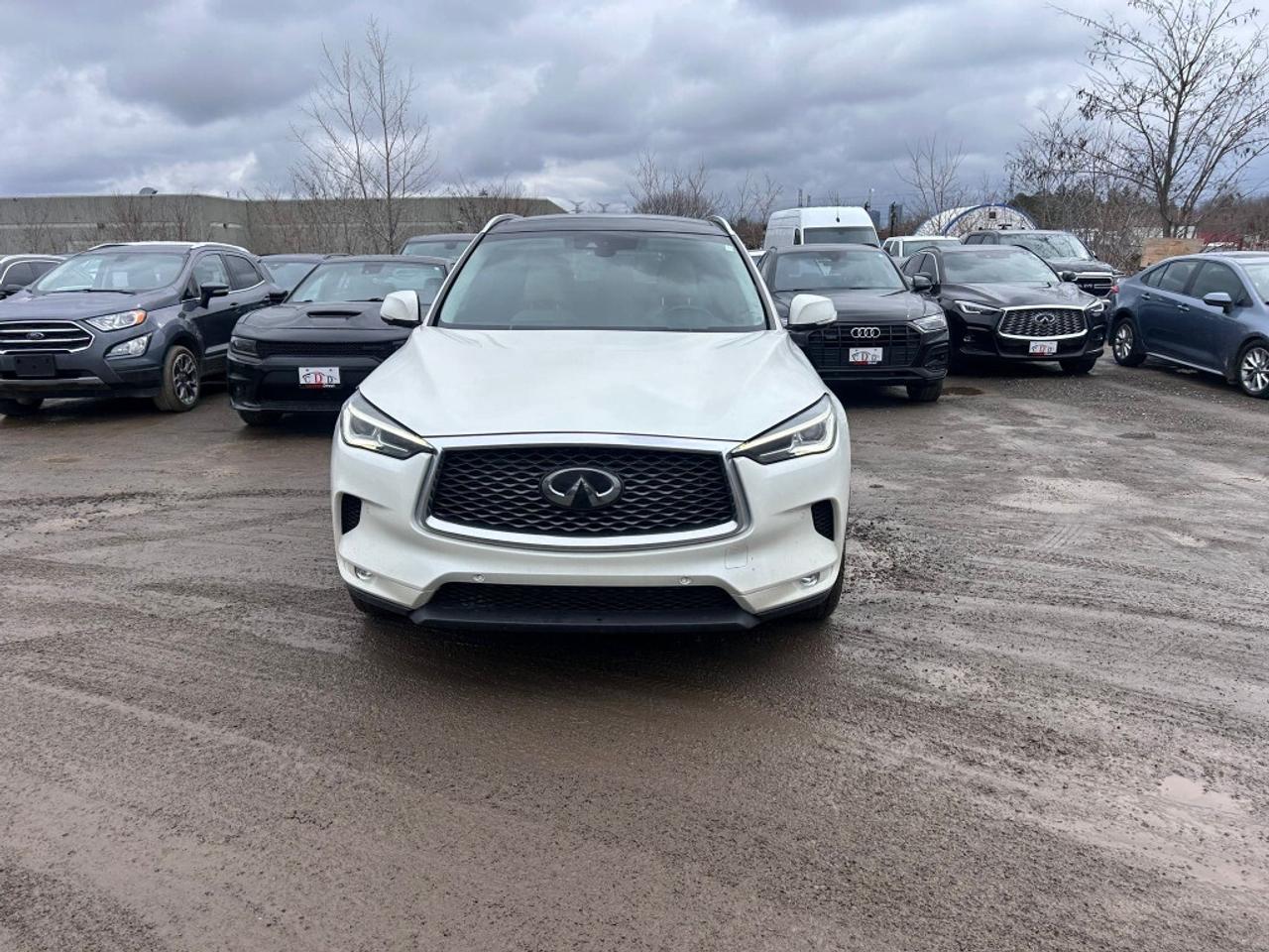 2019 Infiniti QX50 Lux/ Sunroof/NAVI/ Carplay/Leather/Remote Starter/ Photo2