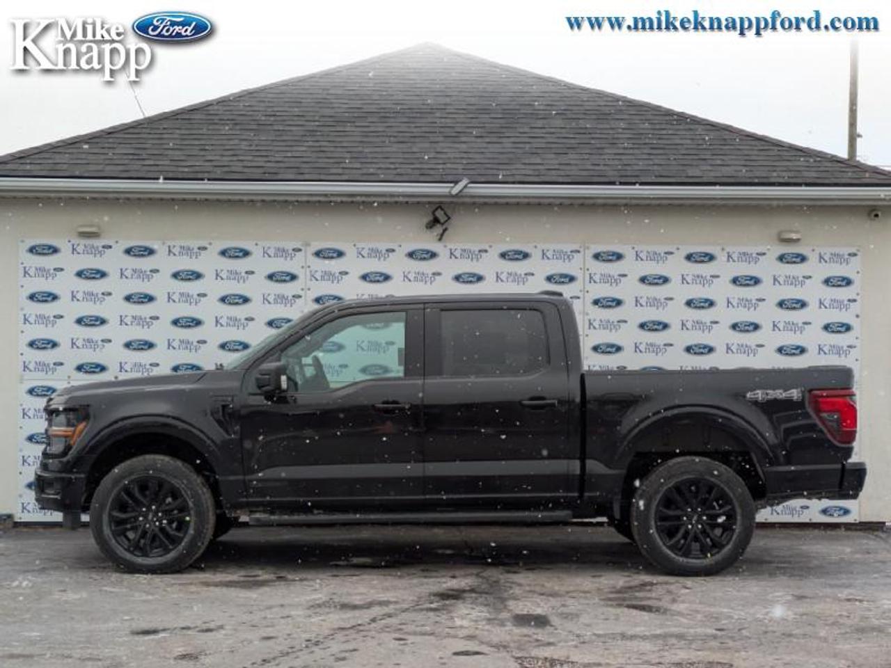2026 Ford F-150 XLT Photo