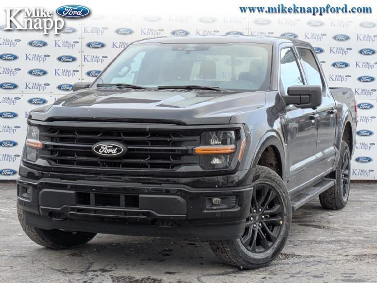 2026 Ford F-150 XLT Photo