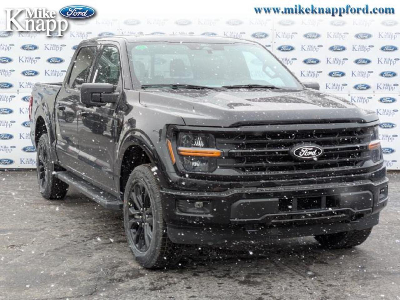 2026 Ford F-150 XLT Photo