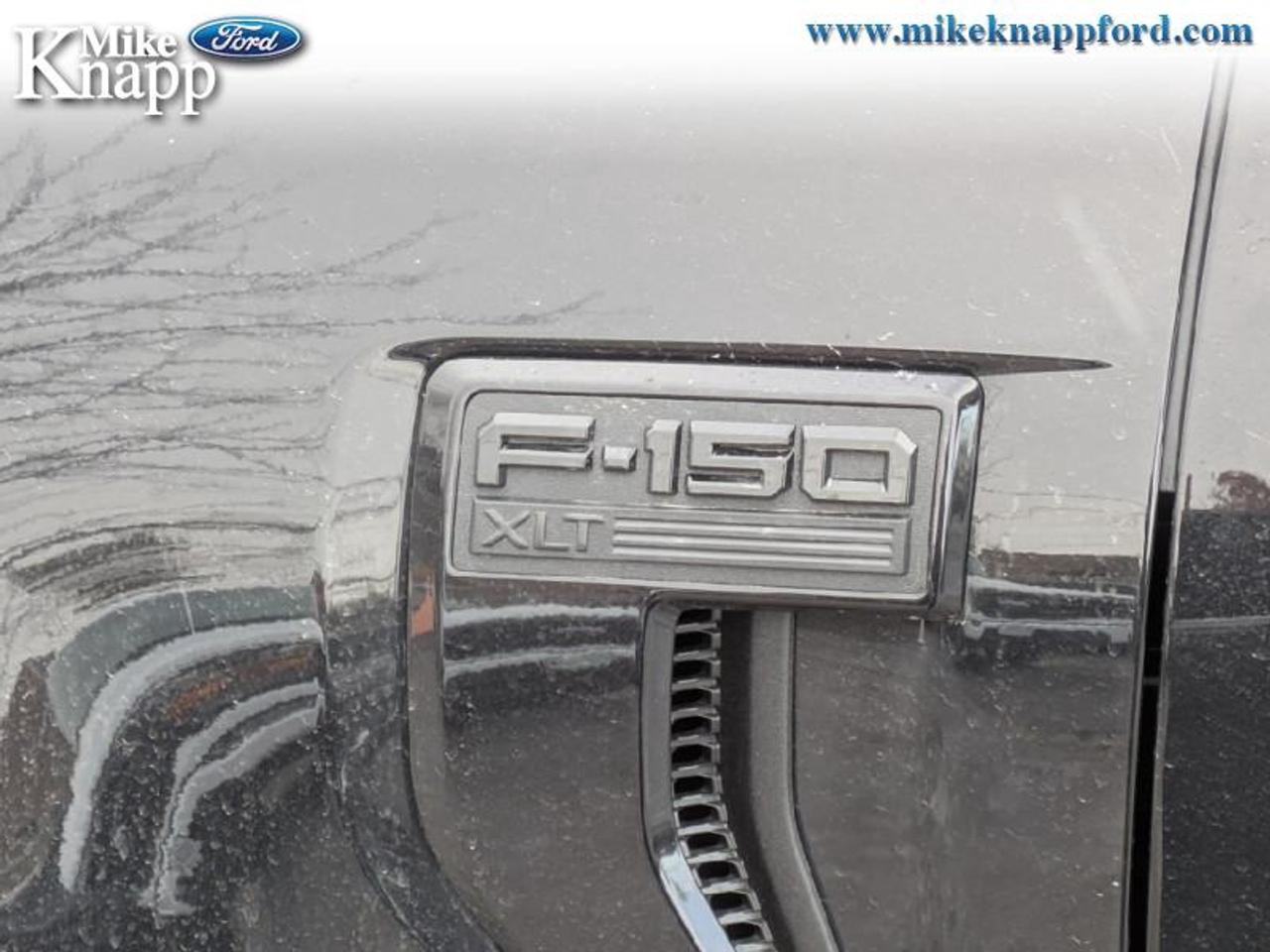 2026 Ford F-150 XLT Photo