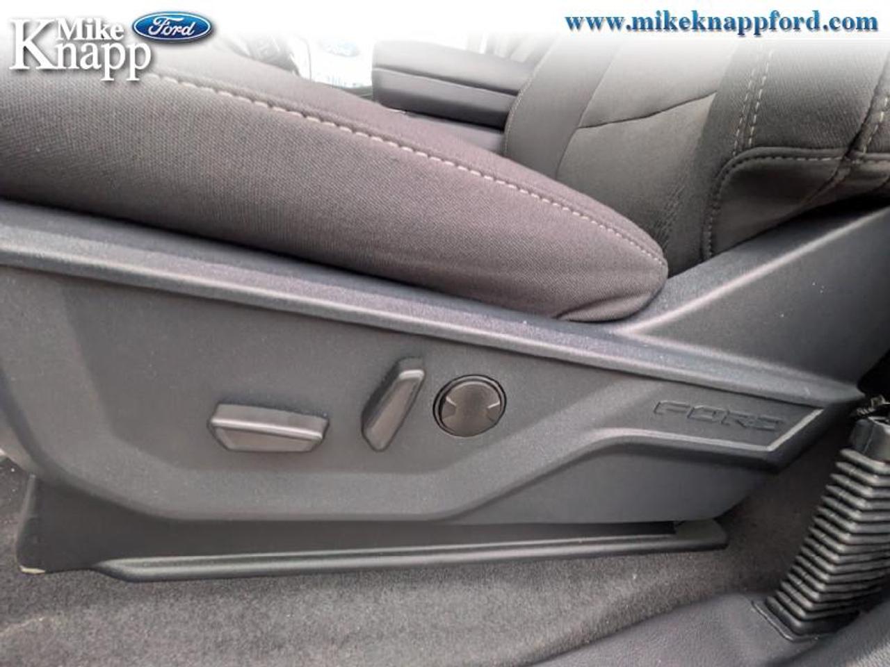 2026 Ford F-150 XLT Photo