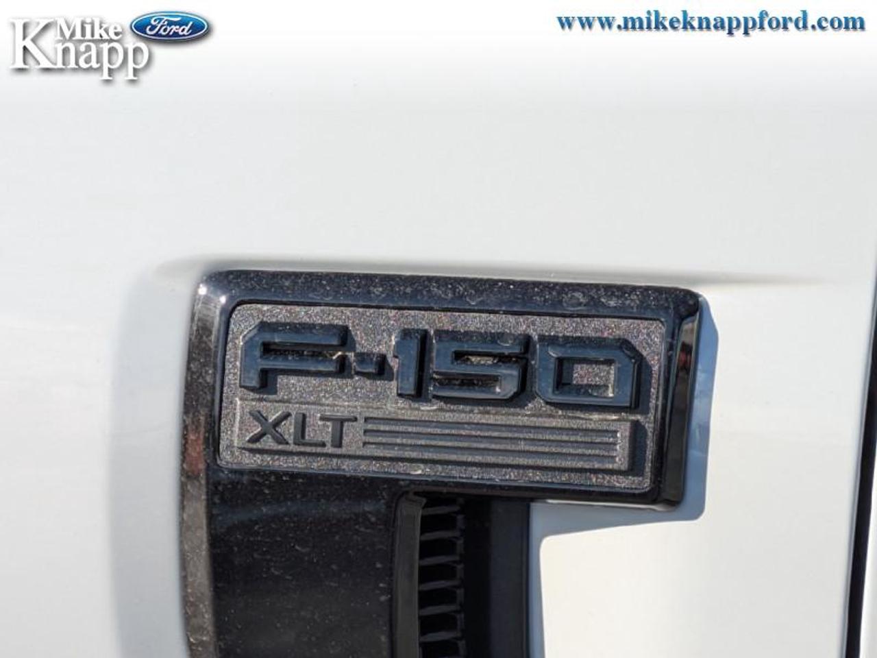 2026 Ford F-150 XLT Photo