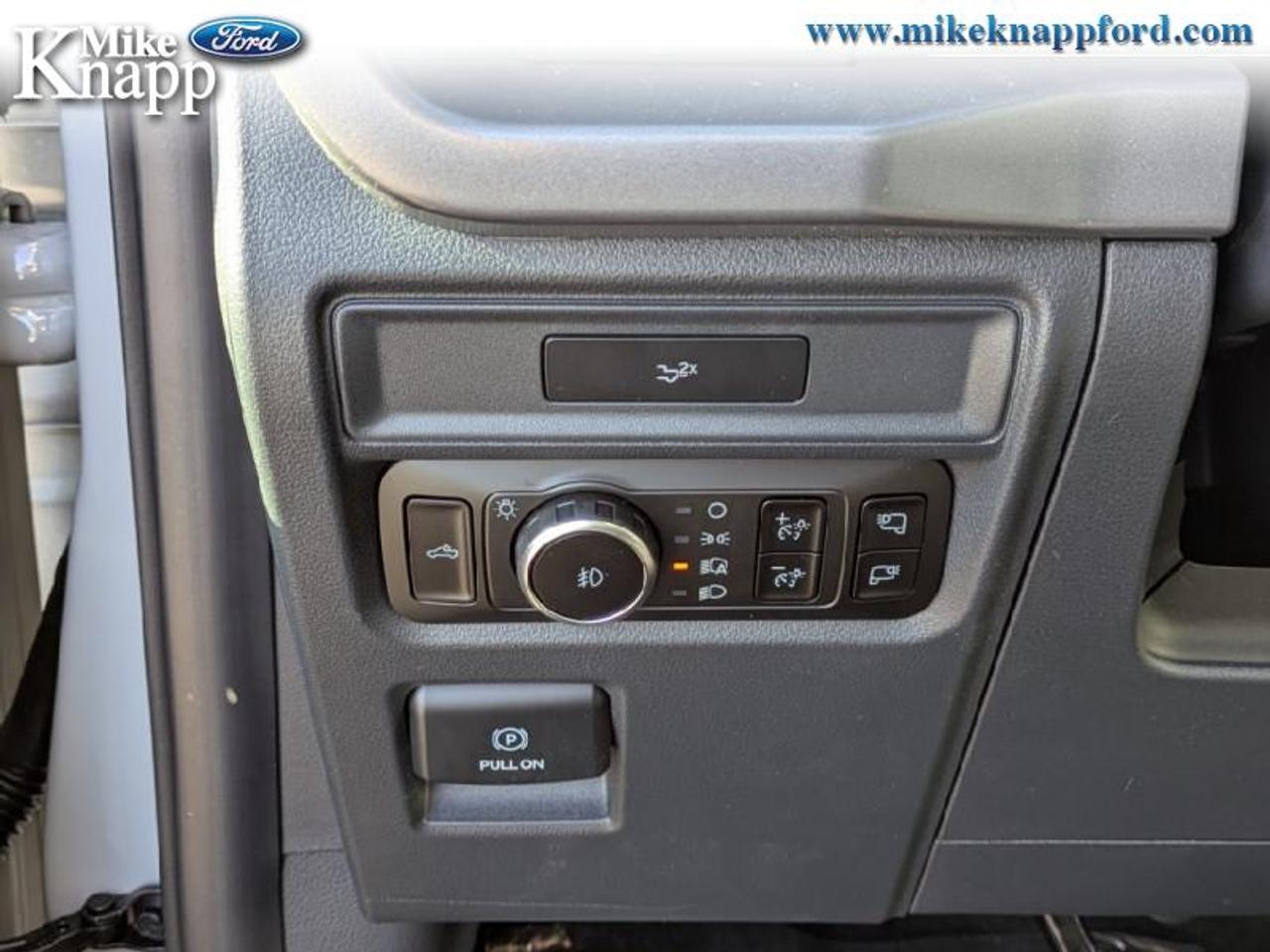 2026 Ford F-150 XLT Photo