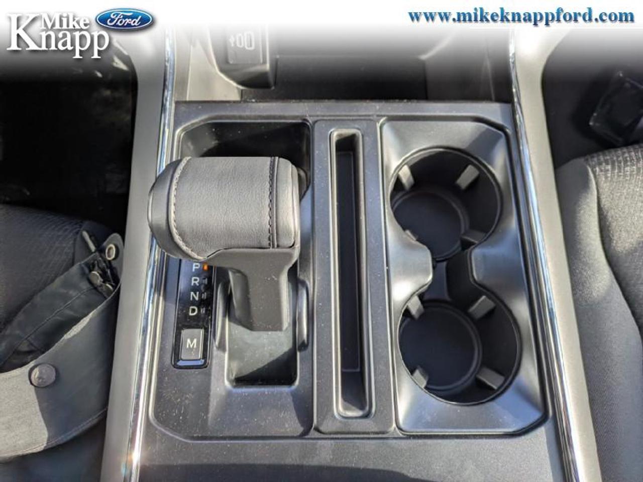 2026 Ford F-150 XLT Photo